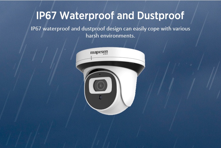 Dome POE NVR Kit