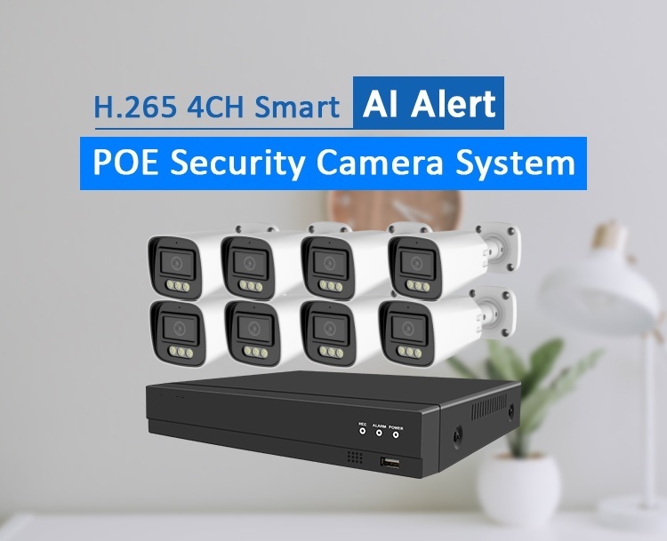 Camera Surveillance System