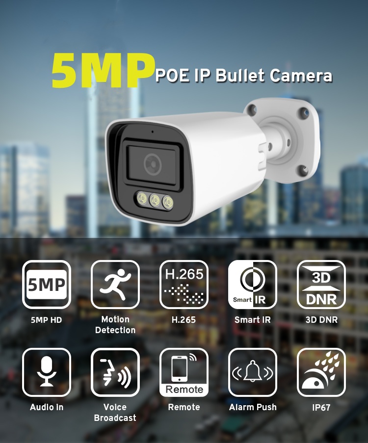 Network Camera