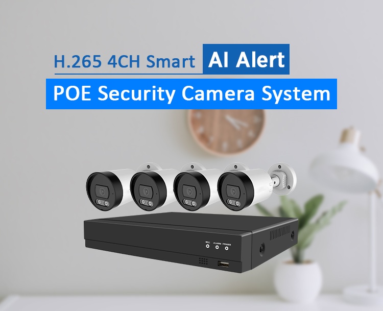 Surveillance Camera Kit