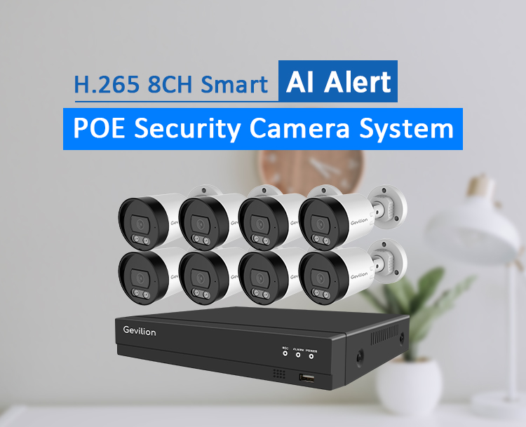 Indoor Outdoor Cctv System