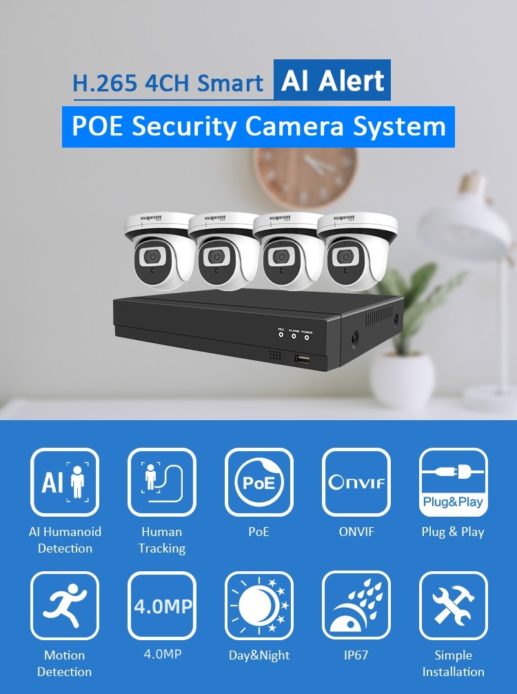 POE NVR Kit