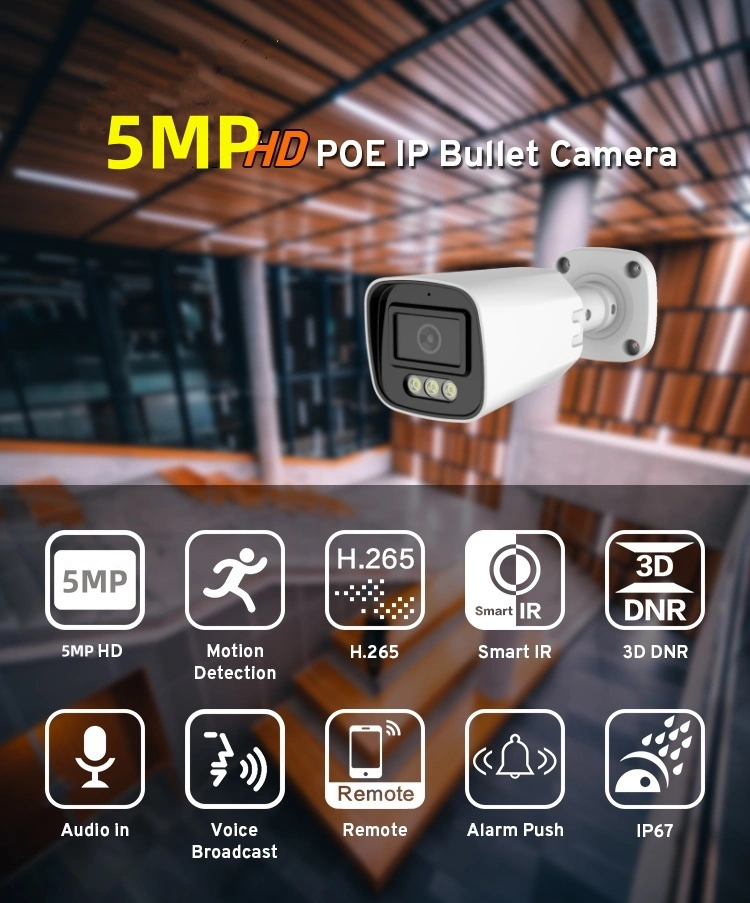 POE Metal Network Camera