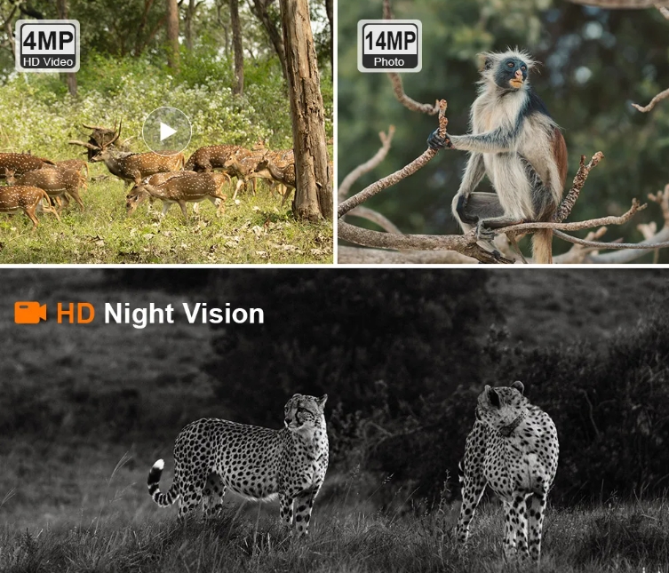 UBOX 4 MP 4G Alert Smart Hunting Camera with Solar Panel