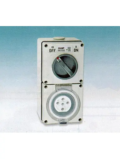Combination Switched Sockets from China Manufacturer - Sasco (Zhejiang ...