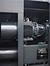 Oil-free screw blower