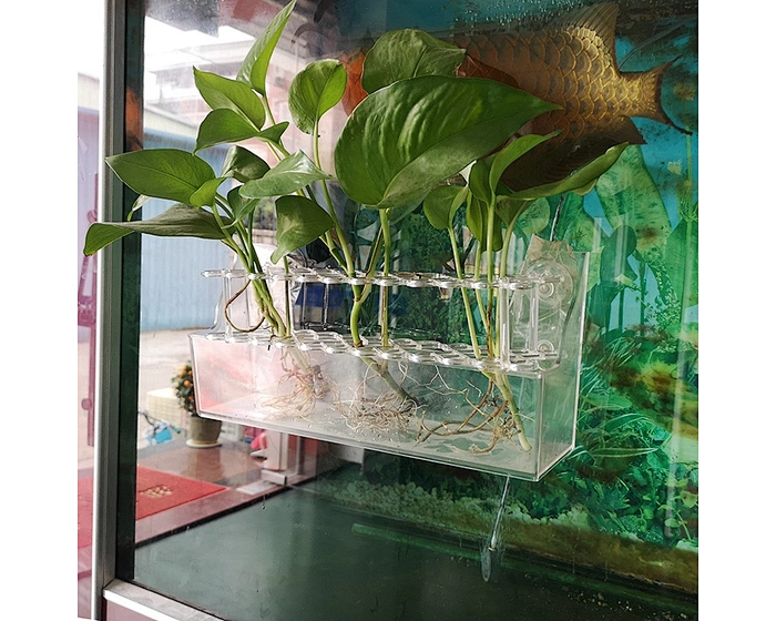 clear plastic flower rack
