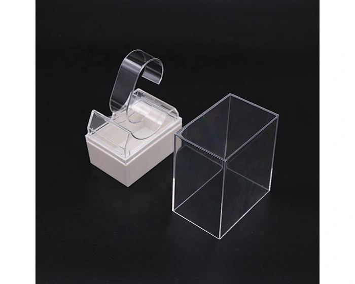 rolex plastic case