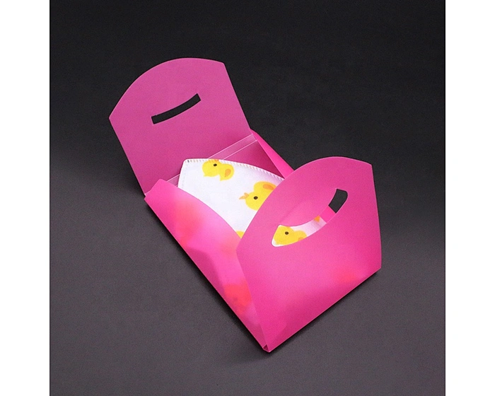 mask storage box