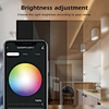 Tuya Wifi LED controller