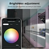 Smart Wifi LED controller ww/cw