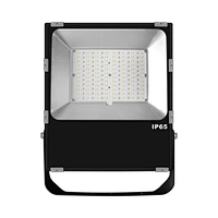 Zigbee Smart Outdoor IP65 Waterproof Led Flood Light Aluminum Led Outdoor Landscape light Floodlight 100W