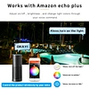 smart flood light 100W