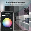 rgbw Wifi led controller