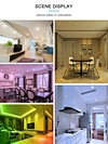 smart rgb led down light