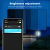 rgb cct zigbee outdoor landscape lighting