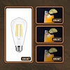 smart filament bulb