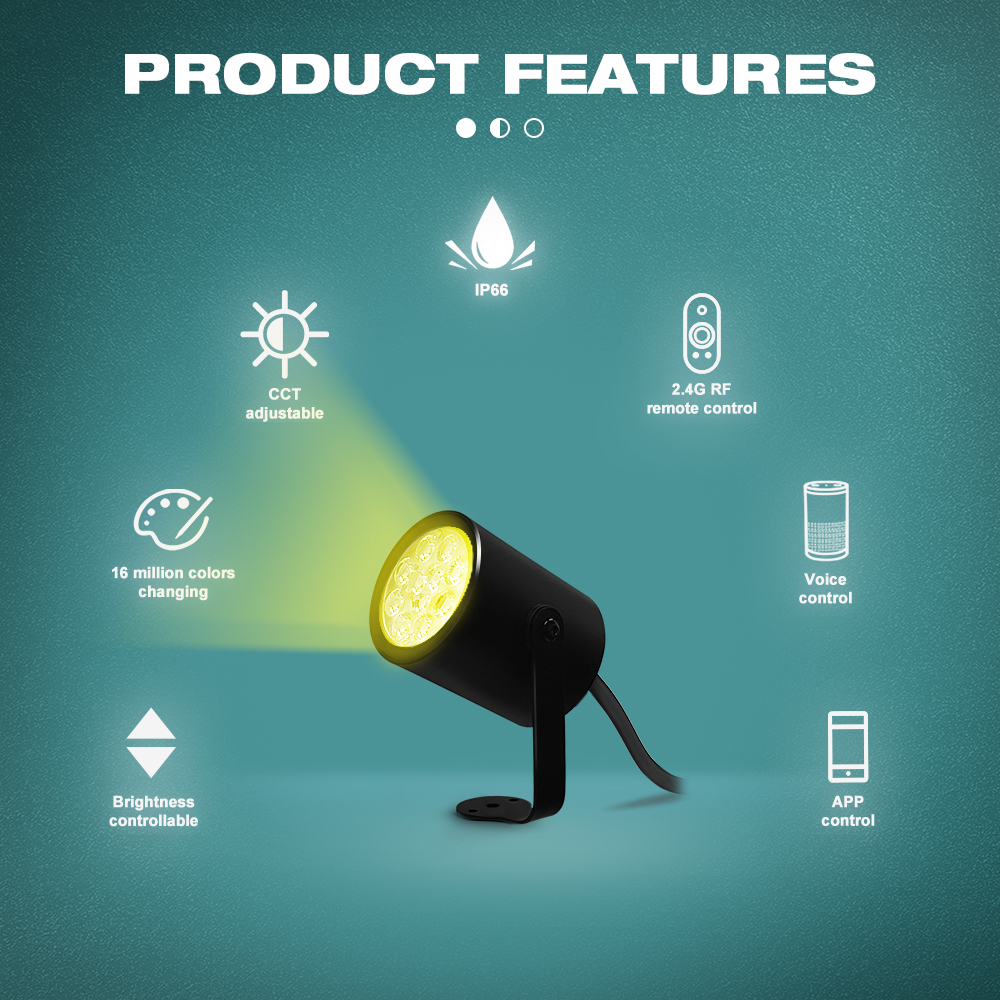 Multi-function outdoor wall lamp