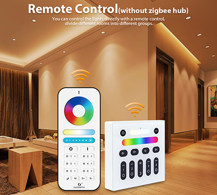 wireless RF remote control