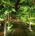 smart zigbee rgb outdoor spotlight