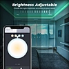 Tuya wifi led controller ww/cw