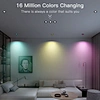 rgb smart downlight