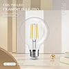 smart led bulb G95