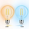 zigbee led filament G95