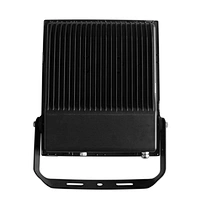 100W led flood light rgb