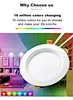 zigbee led lamp downlight