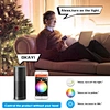 zigbee led controller ww/cw