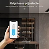 rgb smart downlight