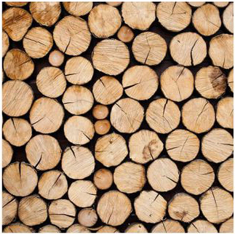 Saw Blades For Solid Wood