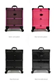 professional nail train case colors