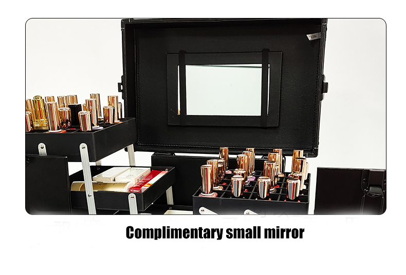 professional nail train case