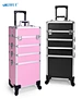4 in 1 rolling makeup train case