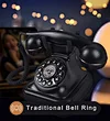 Cheeta Antique Telephone CT-N8022