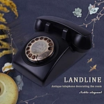 Shenzhen Cheeta Technology Co., Ltd. is a professional Antique Telephone manufacturer in China . Provide wholesale and OEM of Antique Telephone.