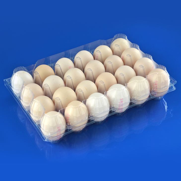 Wholesale Customized Disposable White Plastic Tray for Egg Blister Egg Packaging Egg Clamshell PET 5000 Pieces Accept CN;GUA OEM