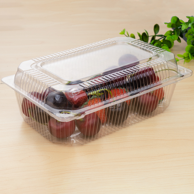 Eco-friendly Disposable Clear Clamshell Plastic Food Packaging