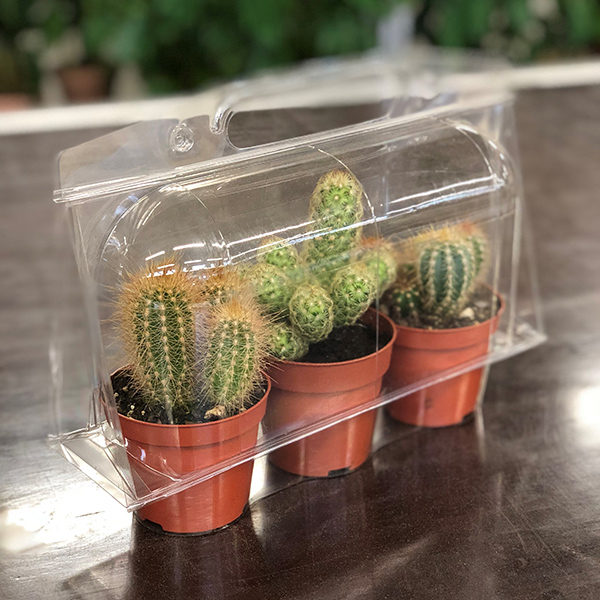 Custom Transparent Plastic Clamshell Packaging for Plants Blister