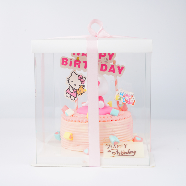 Wholesale Custom Logo Transparent PET Plastic Box Cake Packaging