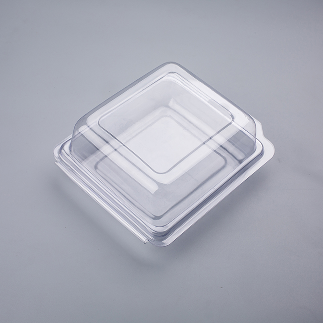 Clear PVC PET Electronic Double Blister Pack Custom Cheap Plastic Customized 5000 Pieces Accept CN;GUA XLB691 Logo Embossing OEM