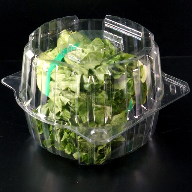 high quality PET fruit salad lettuce clamshell food tray