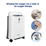 oxygen concentrator supplier
oxygen machine o2 concentrator
oxygen concentrator price
medical oxygen compressor
medical oxygenator price
40l medical oxygen generator
medical oxygen generation station
High pressure medical oxygen generator
medical hospital