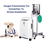 oxygen concentrator supplier
oxygen machine o2 concentrator
oxygen concentrator price
medical oxygen compressor
medical oxygenator price
40l medical oxygen generator
medical oxygen generation station
High pressure medical oxygen generator
medical hospital