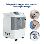 china animal equipments
dog oxygen concentrator wholesale veterinary equipment products
veterinary instruments for branding pets oxygen chamber