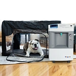 JAY-10 Oxygen Concentrator
pet clinic use oxygen machine 10 liter
animal medical oxygen concentrator 10 l