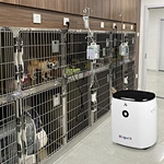 continuous flow settings 0.5 to 10lpm vet oxygen concentrator
pet  oxygen concentrator
canine oxygen cage for medical use