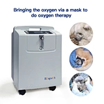 vet oxygen concentrator
concentrated vet oxygen
dog oxygen concentrator
oxygen concentrator for pet
animal oxygen concentrator
oxygene machine for pet
dog portable oxygen concentrator
oxygen concentrator for vet
pet oxygen
animal oxygen chamber
canine oxy